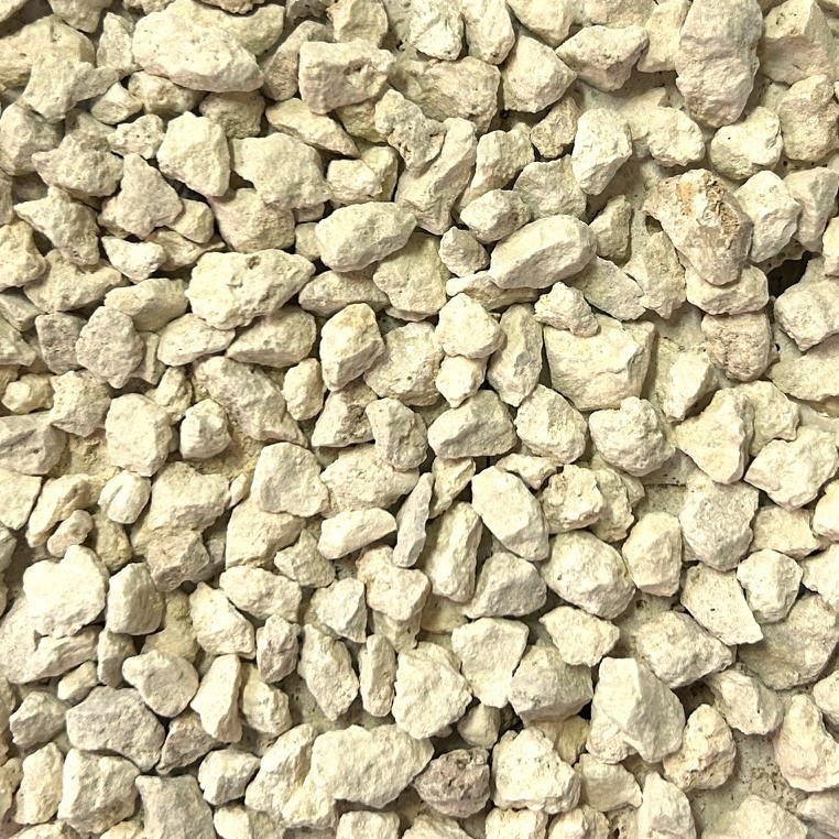 コーラルストーン